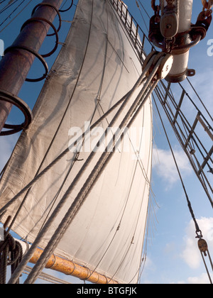 Segelschiff der Appledore Schooner aus Key West in Florida USA Stockfoto