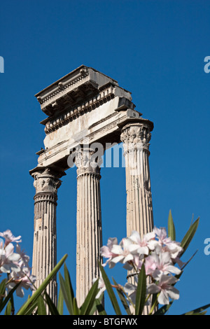 Detail der Tempel des Castor und Pollux. Beispiel für Korinth Hauptstadt. Forum Romanum, Rom Italien Stockfoto