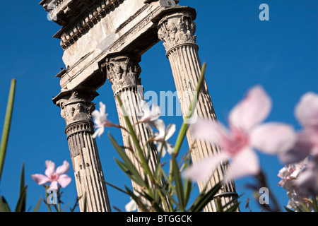 Detail der Tempel des Castor und Pollux. Beispiel für Korinth Hauptstadt. Forum Romanum, Rom Italien Stockfoto