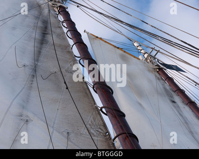 Segelschiff der Appledore Schooner aus Key West in Florida USA Stockfoto