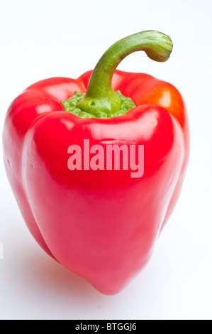 Makroaufnahme von bunten Paprika, isoliert auf weiss Stockfoto