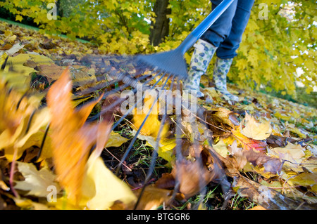 Person sammeln bis Herbst Blätter mit Garten Laubbesen Stockfoto