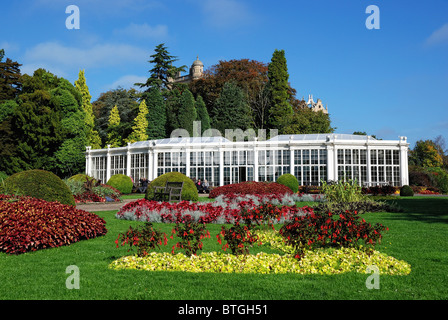 Camellia House Hall Gärten nottingham england UK Stockfoto