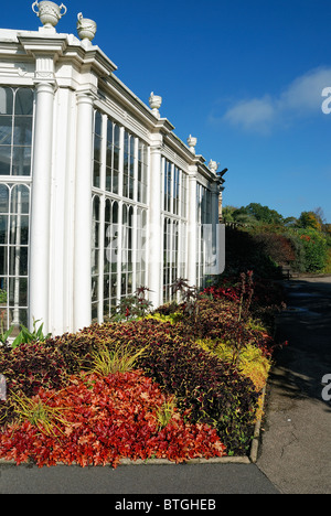 Camellia House, Hallengärten nottingham england UK Stockfoto