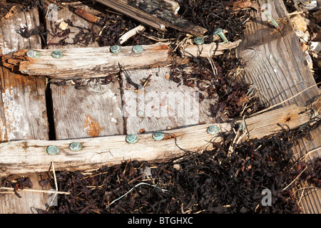 Rippen, Beplankung und Nieten von Hulk auf einem Holzboot am Rande des Hafens von Portsmouth in der Nähe von Portchester, Hampshire, UK Stockfoto