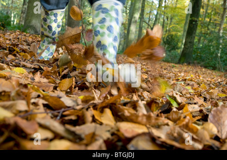 Person zu Fuß im Herbst Blätter, norfolk, england Stockfoto