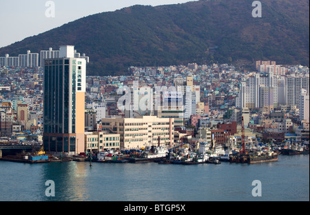 Jagalchi Fisch Markt Busan in Südkorea Stockfoto