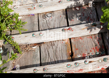 Rippen, Beplankung und Nieten von Hulk auf einem Holzboot am Rande des Hafens von Portsmouth in der Nähe von Portchester, Hampshire, UK Stockfoto