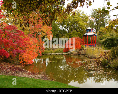 Reflexionen im Herbst Farbe in den Wassergarten unter einem Ahornbaum, Cliveden Country Estate, Bucks, UK Stockfoto