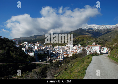 Ansicht der weiß getünchten Dorf (Pueblo Blanco), Sedella, Costa Del Sol, Provinz Malaga, Andalusien, Südspanien, Westeuropa. Stockfoto