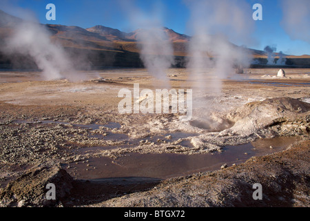 Geysirfeld El Tatio in Atacama-Region, Chile Stockfoto