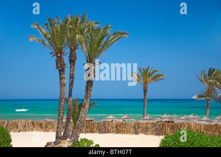 strohgedeckte Sonnenschirme und Palmen Stockfoto