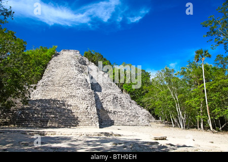 Maya-Nohoch Mul Pyramide in Coba, Mexiko Stockfoto