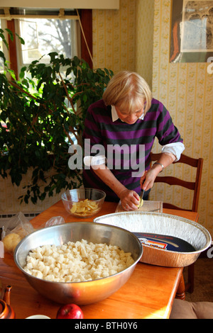 Abendessen-Vorbereitung Stockfoto