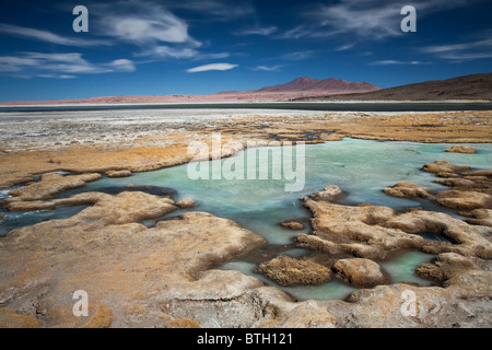 Salt Lake Salar de Tara, Wüste Atacama, nahe der Grenze zwischen Bolivien, Chile und Argentinien Stockfoto