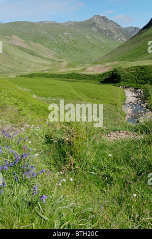 Eine schöne Aussicht auf niedrigere Glen Rosa, Arran. Stockfoto