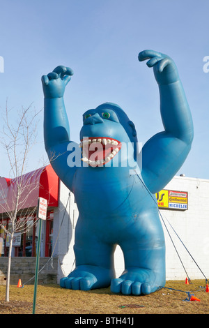 Große blaue Monster Gorilla, Werbung aufblasbar außerhalb eines Reifen-Ladens. Stockfoto