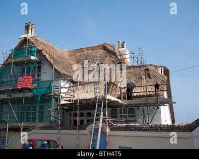 Thatchers bei der Arbeit am Aroof eines Hauses in Sidmouth Devon Stockfoto