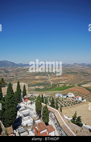 Blick über die Dächer der Stadt und die umliegenden Landschaft, Olvera, Provinz Cadiz, Andalusien, Spanien, Westeuropa. Stockfoto