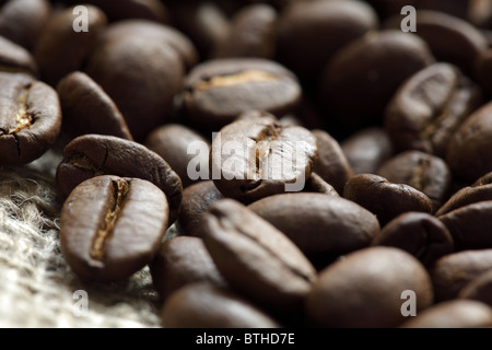Kaffee Bohnen Stockfoto