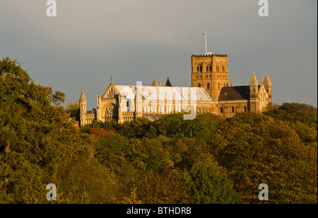 St. Albans Abtei überragt Verulamiam Park in späten Nachmittag Licht an einem Herbsttag. Stockfoto