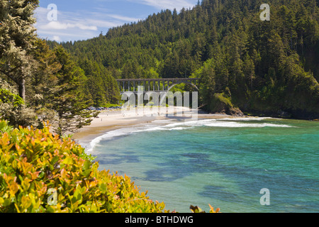 Strand von Devils Elbow State Park und Cape Creek Bridge entworfen von Conde B McCullough auf der Pazifik-Küste von Oregon Stockfoto