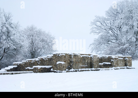 Limetten-Tür bei Dalkingen Stockfoto