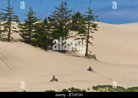 ATV in Oregon Dunes National Recreation Area nördlich von Coos Bay, Oregon Stockfoto