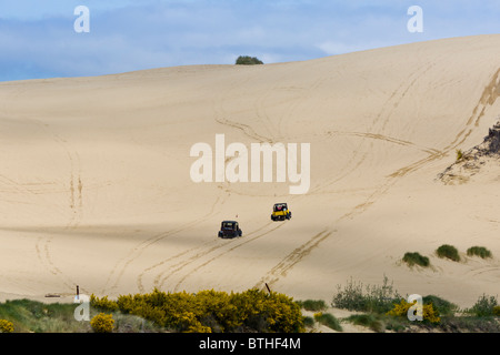 ATV in Oregon Dunes National Recreation Area nördlich von Coos Bay, Oregon Stockfoto