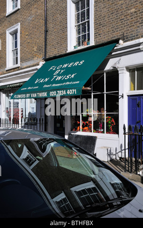 Pimlico Blumengeschäft in viktorianischen Pimlico Terrasse Eigentum, London, Vereinigtes Königreich Stockfoto