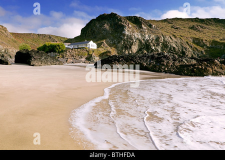 Blick vom Strand und Surfen auf der Wasserseite Café Kynance Cove, Cornwall Stockfoto