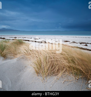 Dünengras weht im Wind an stürmischen Tag mit Blick auf Sound von Harris, Berneray, äußeren Hebriden, Schottland Stockfoto