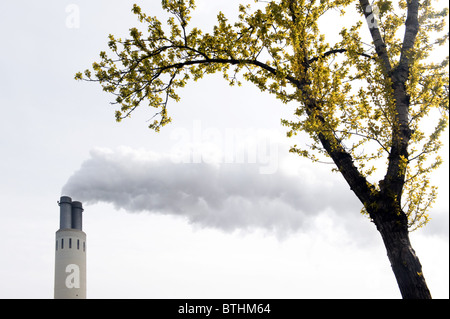 Reuter West Heizung Plant Schornstein und einen Baum, Berlin, Deutschland Stockfoto