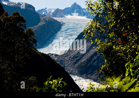 Fox Glacier, Pohutukawa, Rata Bäume, Südalpen, Südinsel Neuseeland Stockfoto