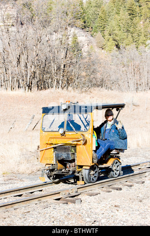 Bahn fahren, Durango Silverton Narrow Gauge Railroad, Colorado, USA Stockfoto