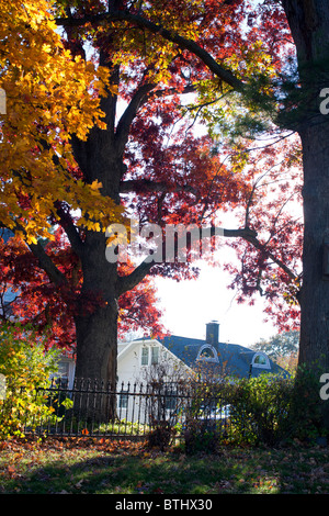 Farben des Herbstes tummeln sich auf den Klippen oberhalb des Mississippi River zu Burlington, IA. Stockfoto