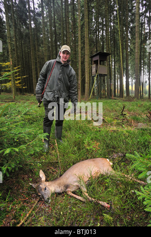 Jäger mit erschossen Reh Reh (Capreolus Capreolus) und erhöhten Stand im Wald, Ardennen, Belgien Stockfoto