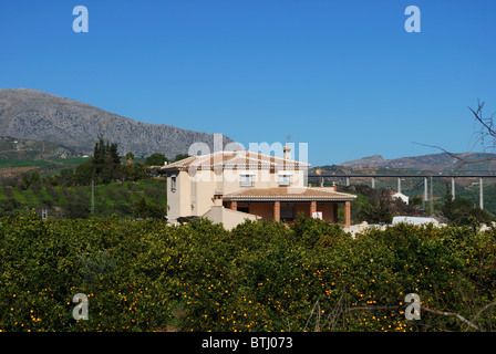 Landhaus mit Orangenbäumen im Vordergrund, in der Nähe von Westeuropa Alora, Provinz Malaga, Andalusien, Spanien. Stockfoto