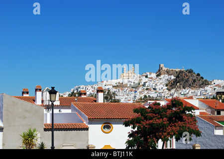 Blick auf die Stadt, Olvera, Provinz Cadiz, Andalusien, Spanien, Westeuropa. Stockfoto