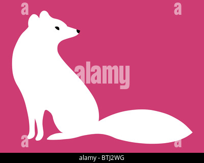 Abbildung einer Arctic fox Stockfoto