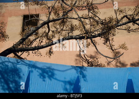 Gefärbtes Tuch trocknen in der Färber Souk, Marrakesch, Marokko Stockfoto