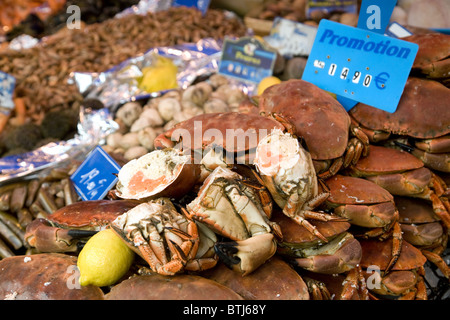 Krabben auf einen Fisch stand auf dem französischen Markt Stadt Coulommiers in der Nähe von Paris, Ile de France Frankreich Stockfoto