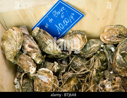 Austern für den Verkauf auf einen Fisch stand auf dem französischen Markt Stadt Coulommiers in der Nähe von Paris, Ile de France Frankreich Stockfoto