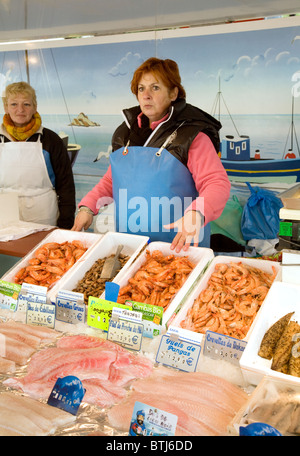 Weibliche Fischhändler auf den frischen Fisch stall, Coulommiers Straßenmarkt in der Nähe von Paris, Ile de France Frankreich Stockfoto