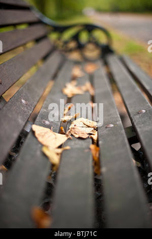 Herbstlaub auf Parkbank Stockfoto