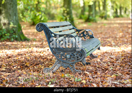 Herbst-Bank Stockfoto