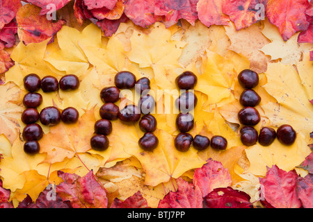 Conkers verwendet, um das Wort lFall auf Herbst buchstabieren lässt. Stockfoto