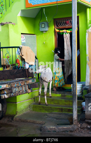 Bunte indische Straße Szene nach dem Regen mit Mädchen und Kuh an die Tür eines Hauses in der Stadt Puttaparthi, Andhra Pradesh, Indien Stockfoto