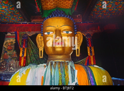 Die größte SHAKYAMUNI BUDDHA-Statue in LADAKH ist 39 Fuß hoch und befindet sich in SHEY GOMPA (Kloster) - LADAKH, Indien Stockfoto