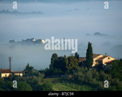 Fabelhafte Landschaft der nebligen Morgen in der Toskana. Das Tal zwischen Montepulciano und Chiusi Stockfoto